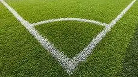 阿斯頓維拉及布萊頓獲歐足聯許可，來季將角逐歐洲賽事。